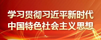 學(xué)習(xí)貫徹習(xí)近平新時(shí)代中國(guó)特色社會(huì)主義思想